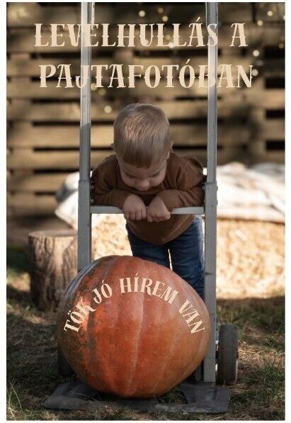 Levélhullás a Pajtafotóban